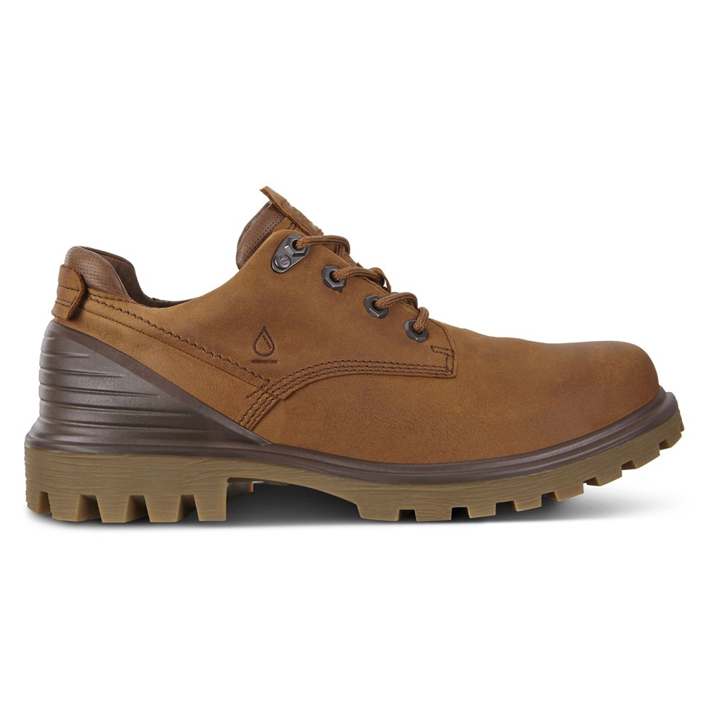 Mens Hiking Shoes - ECCO Tredtray - Brown - 4791ZPXDS